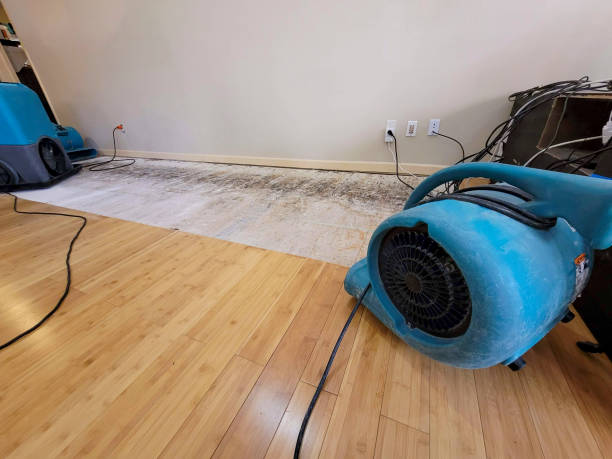 Professional Sewage Cleanup technician working in Niota, TN